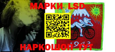 шишки Изобильный