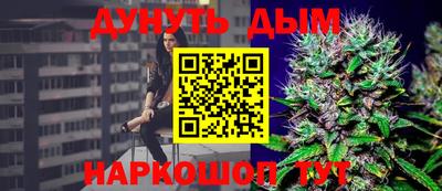 шишки Изобильный
