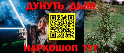 шишки Изобильный